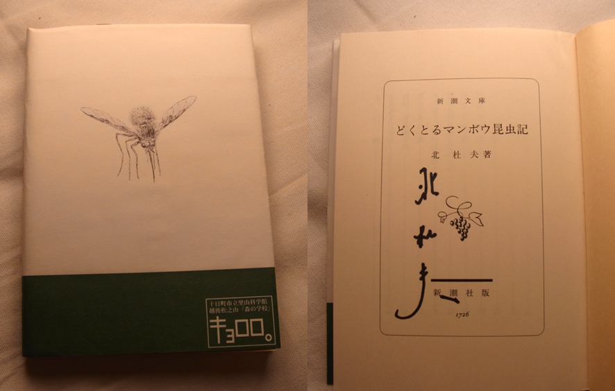 埼玉県昆虫誌 1-3 別巻 セット 埼玉県昆虫誌 1-3 別巻 セット